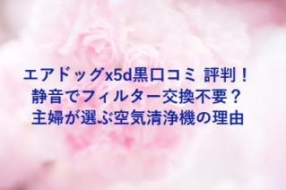 エアドッグx5d黒口コミ 評判！静音でフィルター交換不要？主婦が選ぶ空気清浄機の理由